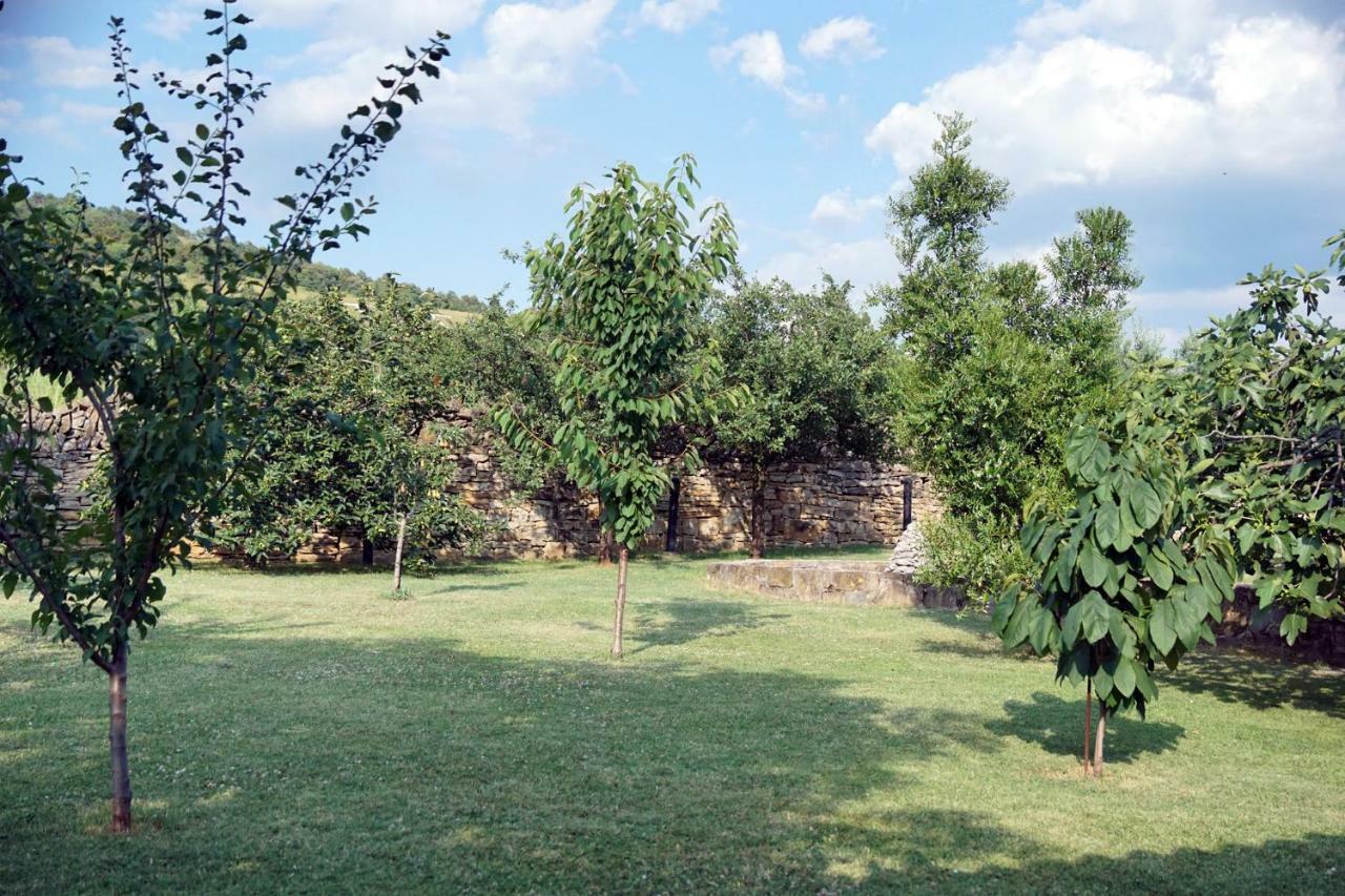 Tourist Farm With Apartments Fig Tree Dekani Esterno foto
